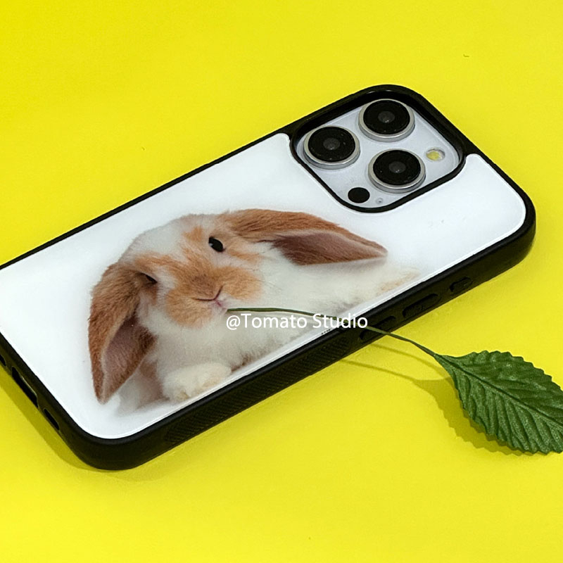 Niş Hayvan Fotoğrafçılığı Y2K  - Photography With Iphone 15 incelemesi ve fiyatı